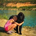 newfoundland dog