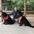 NEWFOUNDLAND DOG