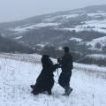 NEWFOUDNLAND DOG